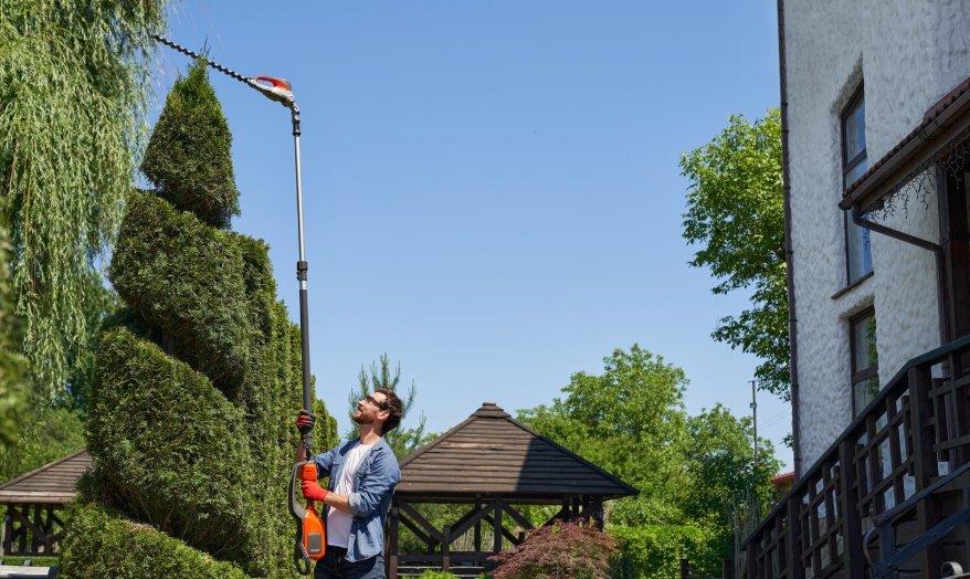 A worker carrying equipment past a trimmed tree in a garden